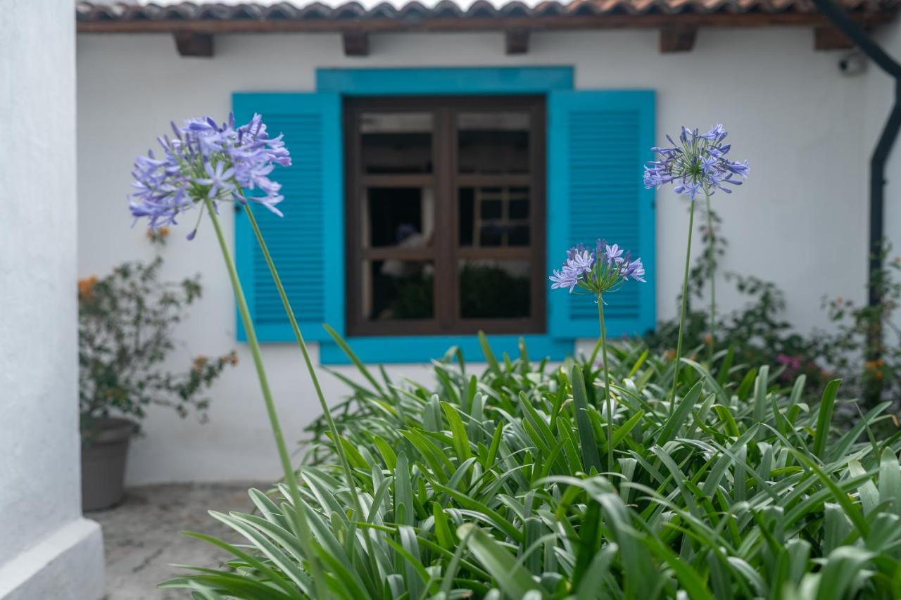 Barbara'S Boutique Hostel Antigua Exterior photo